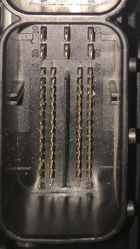 2008 ss ecm pinout-image.jpeg