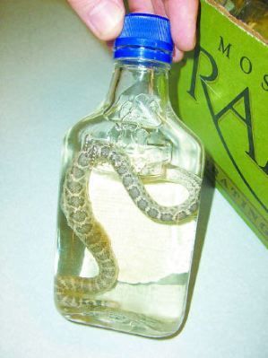 Name:  vodka-with-rattlesnakes.jpg
Views: 189
Size:  20.6 KB
