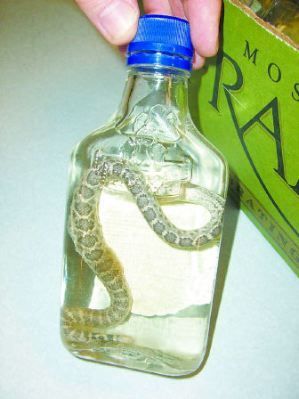 Name:  vodka-with-rattlesnakes.jpg
Views: 205
Size:  20.6 KB