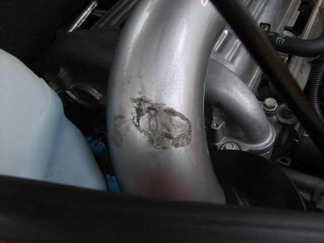 Name:  grilledashkitdaypics046.jpg
Views: 44
Size:  68.9 KB