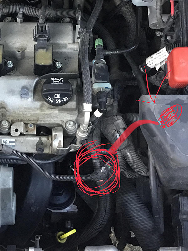 Innovative performance chip-2b669085-25c9-4e60-994c-e11494e3575d.jpeg