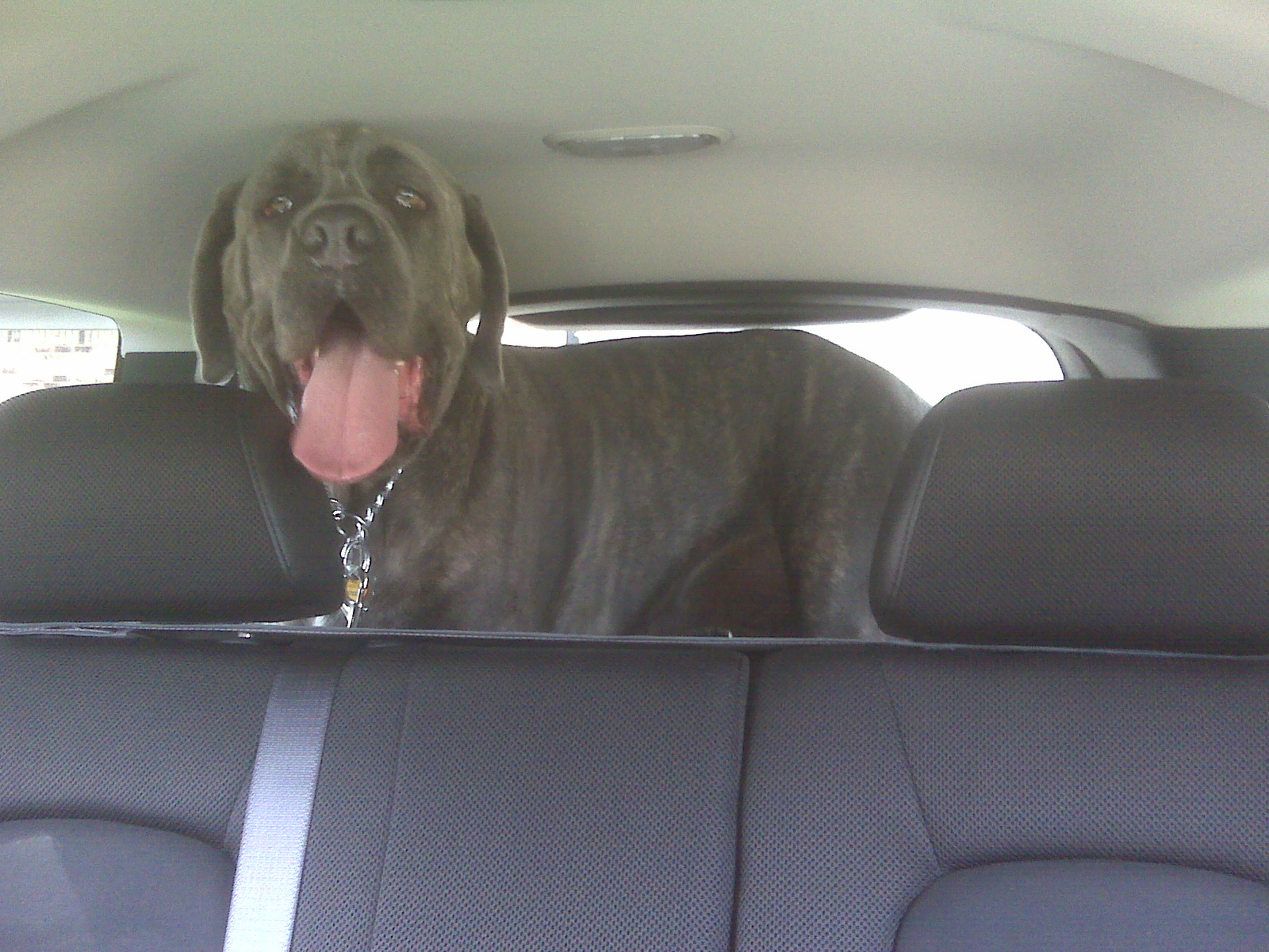 Name:  SU1HMDAxMjIuanBn.jpg
Views: 42
Size:  599.5 KB