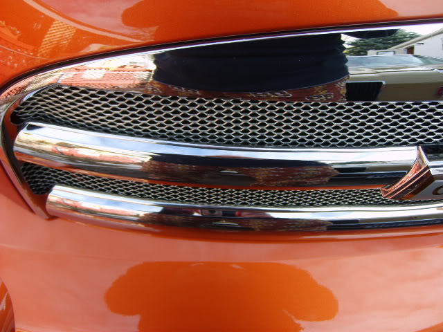 Name:  grilledashkit036.jpg
Views: 32
Size:  111.8 KB