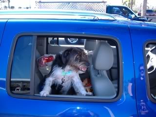 Name:  DSCF0084.jpg
Views: 33
Size:  17.9 KB