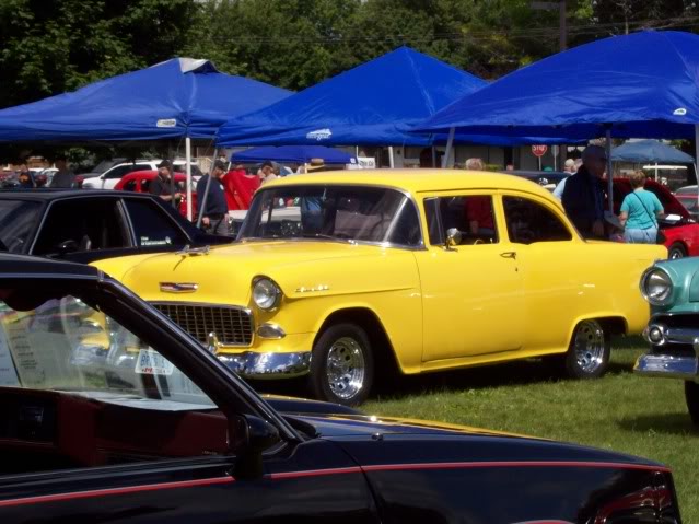 Name:  Norwichontshow005.jpg
Views: 76
Size:  74.8 KB
