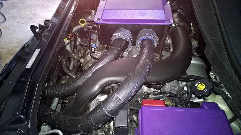 black Tara May Submission-wp_20150604_003.jpg