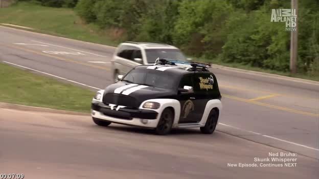 Name:  skunk.jpg
Views: 181
Size:  26.9 KB