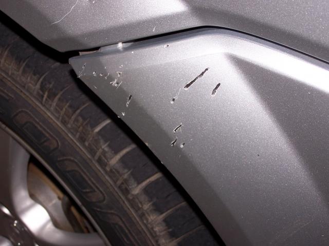 Name:  Dog chews the Hyundai.jpg
Views: 283
Size:  39.7 KB