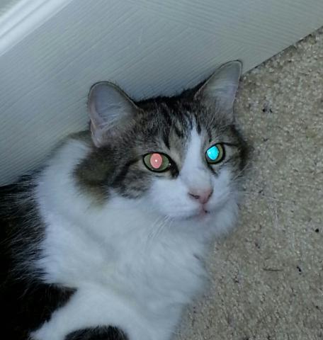 Name:  bogger butt.jpg
Views: 100
Size:  27.5 KB