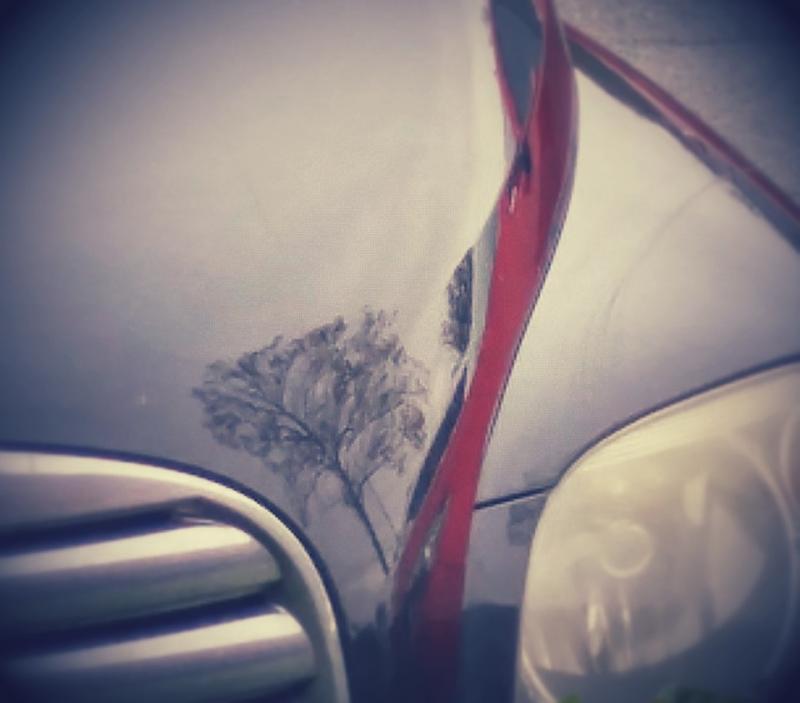 HHaRt-treehood.jpg