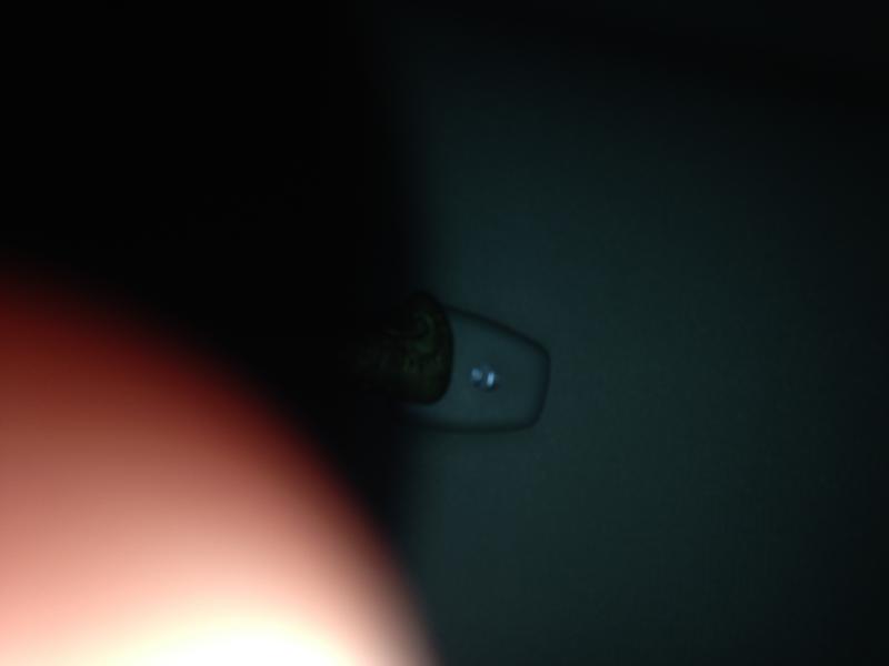 What the Heck is this ???-image.jpeg