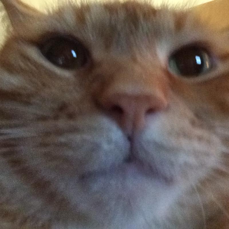 What Did You Do To Your HHR Today?-image.jpeg