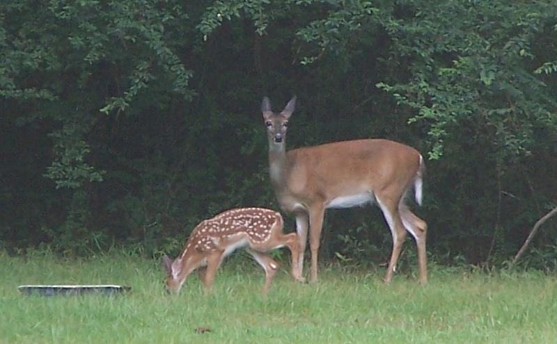 What Did You Do To Your HHR Today?-100_3217.jpg