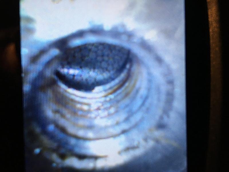 You got to love Fiber Optics-img_1830.jpg