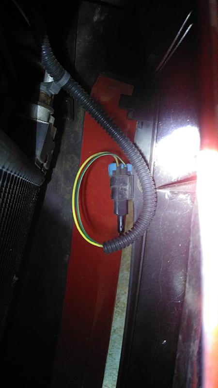 What's This?-img_20170408_180140.jpg