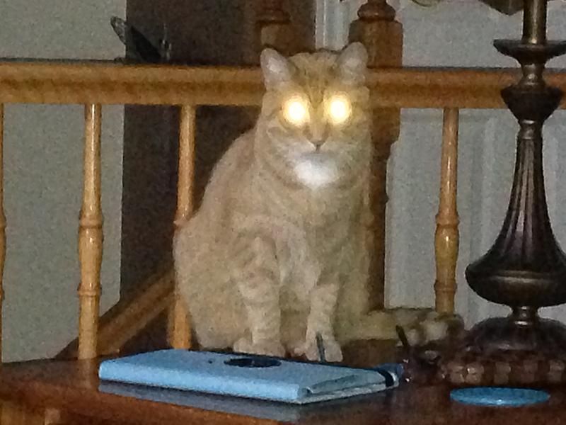 What Did You Do To Your HHR Today?-img_0165.jpg