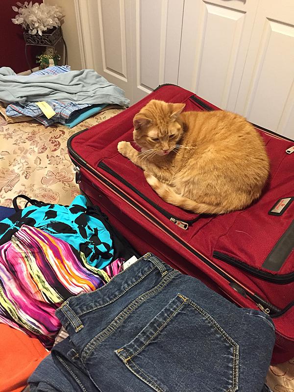 What Did You Do To Your HHR Today?-img_0265.jpg