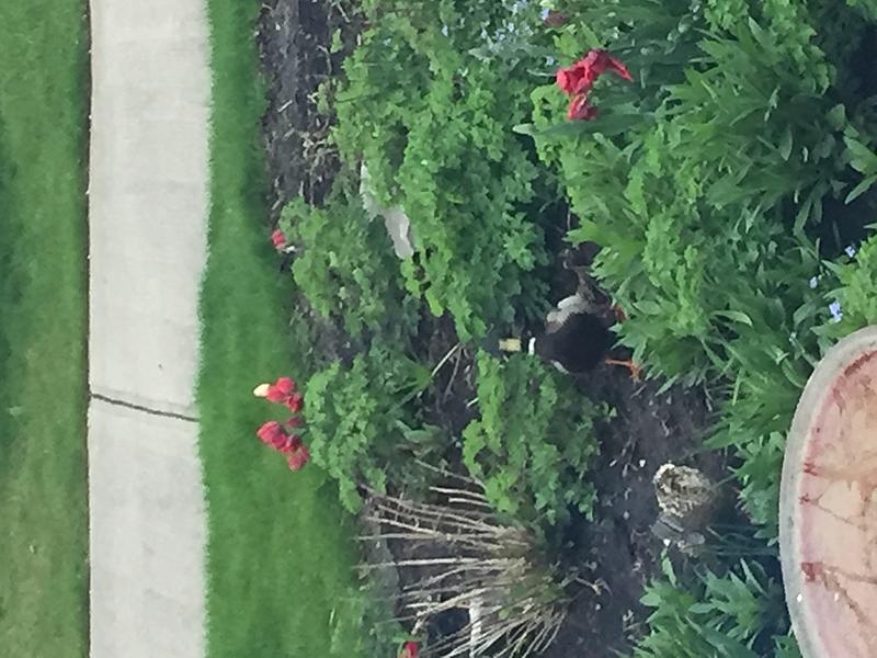 What Did You Do To Your HHR Today?-img_0445.jpg