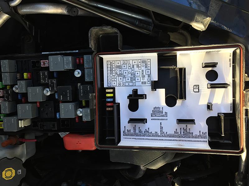 Fuses-img_0264.jpg