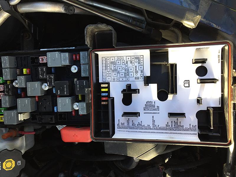 Fuses-img_0263.jpg