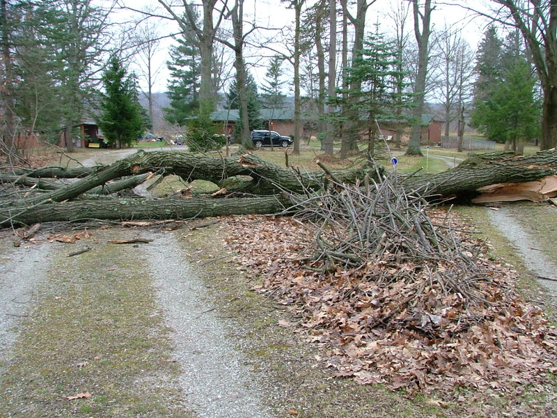 Name:  DSCF0841_zpskfkcoo6g.jpg
Views: 139
Size:  288.4 KB