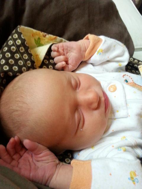 Name:  20140820_145537_zps1455175d.jpg
Views: 182
Size:  36.6 KB