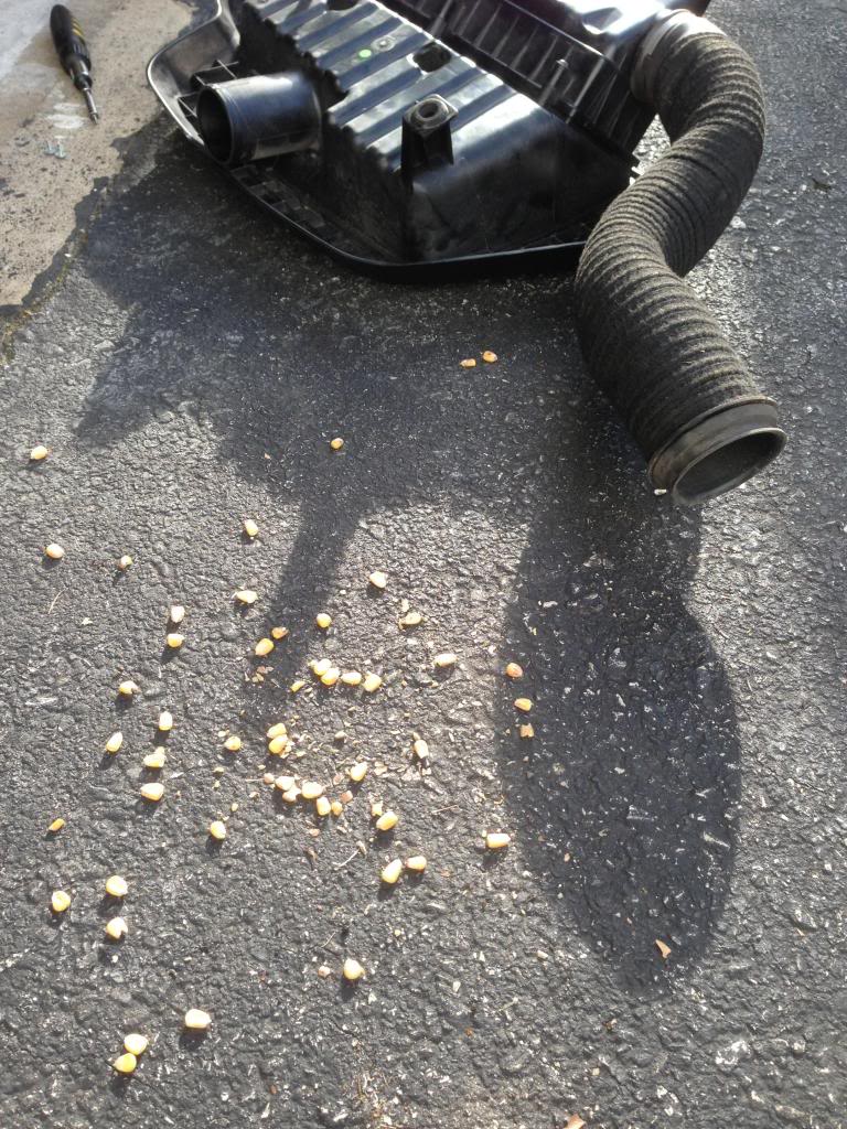 Name:  IMG_0890.jpg
Views: 146
Size:  197.1 KB