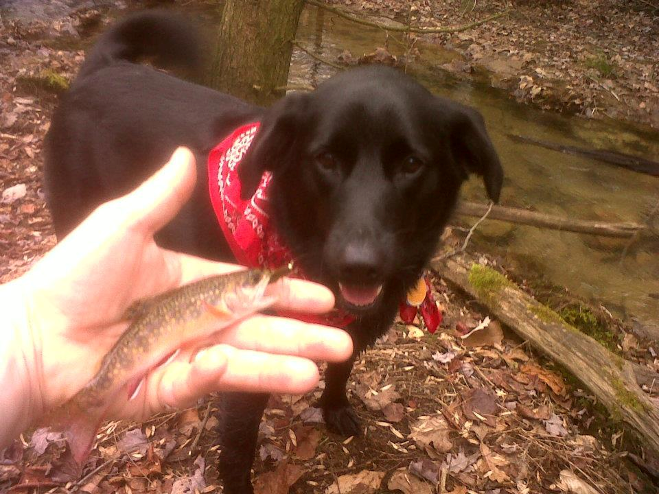 Name:  jettabandana.png
Views: 54
Size:  1.25 MB