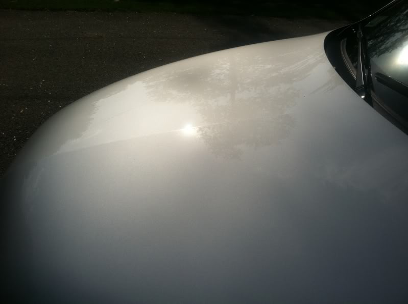 Name:  hhr9.jpg
Views: 55
Size:  27.4 KB