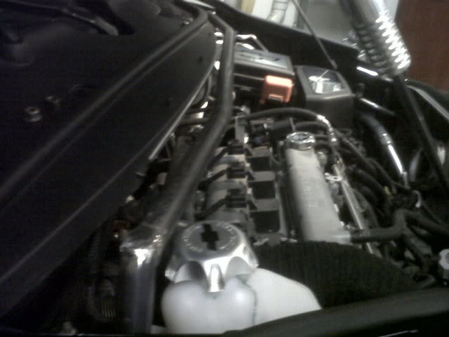 Name:  IMG00278-20110324-1959.jpg
Views: 81
Size:  33.9 KB