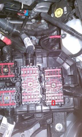 Name:  IMAG0384paint.jpg
Views: 88
Size:  34.6 KB