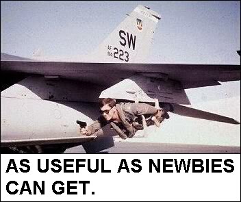 Name:  noob02.jpg
Views: 39
Size:  26.9 KB