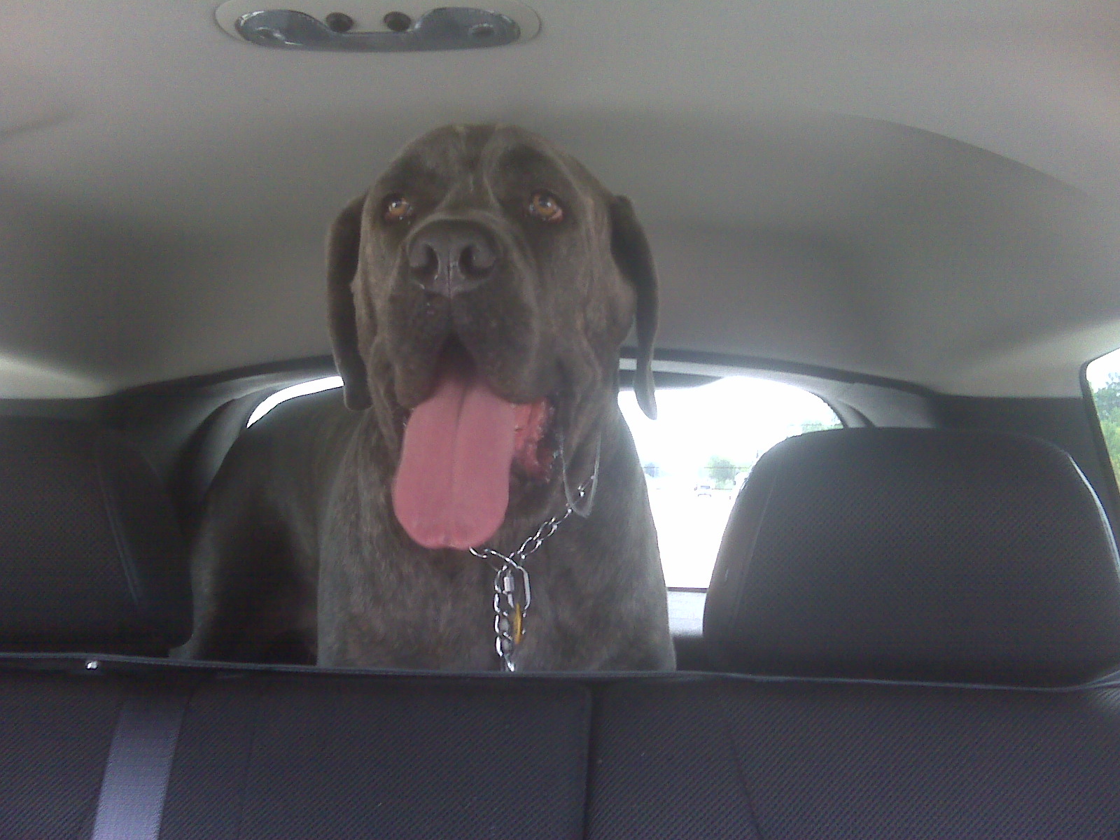 Name:  SU1HMDAxMjYuanBn.jpg
Views: 883
Size:  428.2 KB