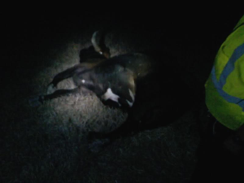 Name:  0625092209-01.jpg
Views: 64
Size:  22.0 KB