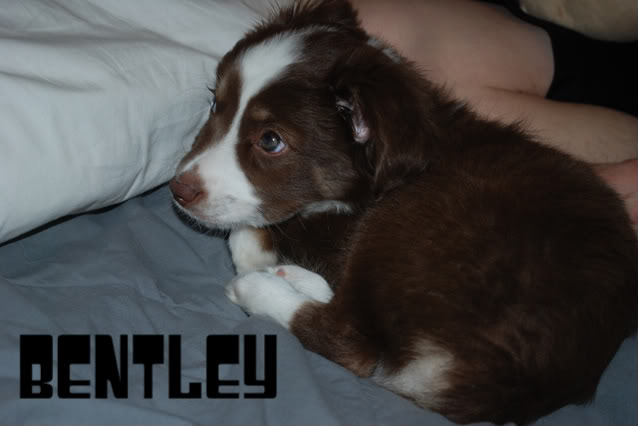 Name:  DSC_0014-1.jpg
Views: 20
Size:  32.4 KB