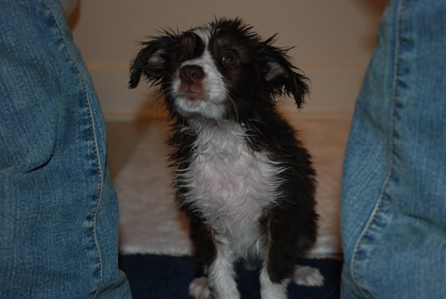 Name:  DSC_00322.jpg
Views: 23
Size:  64.2 KB