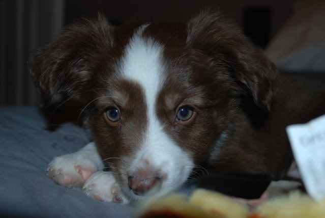 Name:  DSC_00053.jpg
Views: 23
Size:  52.5 KB