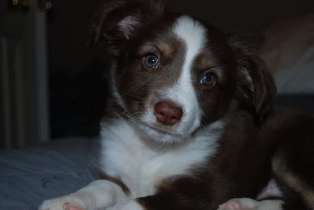 Name:  DSC_00063.jpg
Views: 21
Size:  48.4 KB