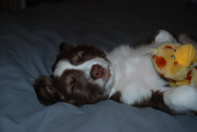 Name:  DSC_00103.jpg
Views: 79
Size:  47.3 KB