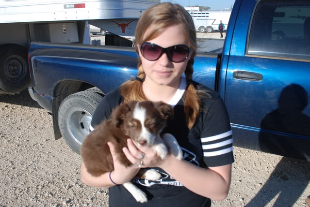 Name:  DSC_0002.jpg
Views: 51
Size:  91.1 KB