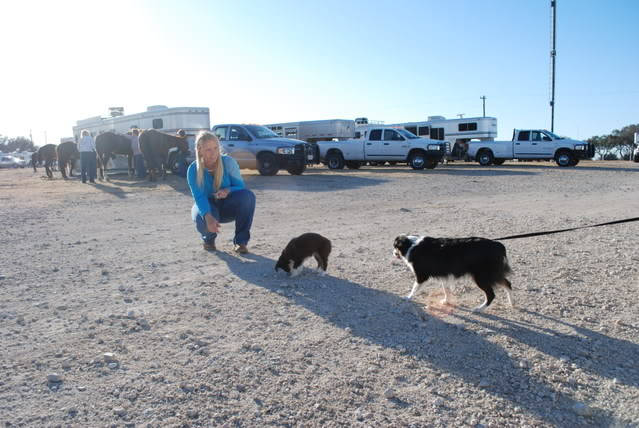 Name:  DSC_0010.jpg
Views: 59
Size:  97.3 KB