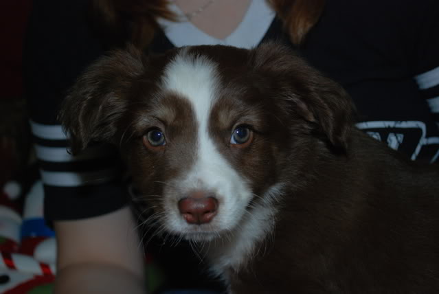 Name:  DSC_0044.jpg
Views: 61
Size:  53.3 KB