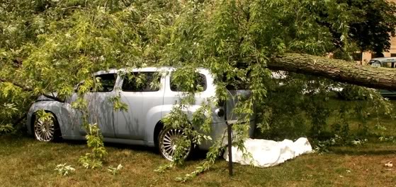 Name:  wcc.jpg
Views: 1138
Size:  63.4 KB