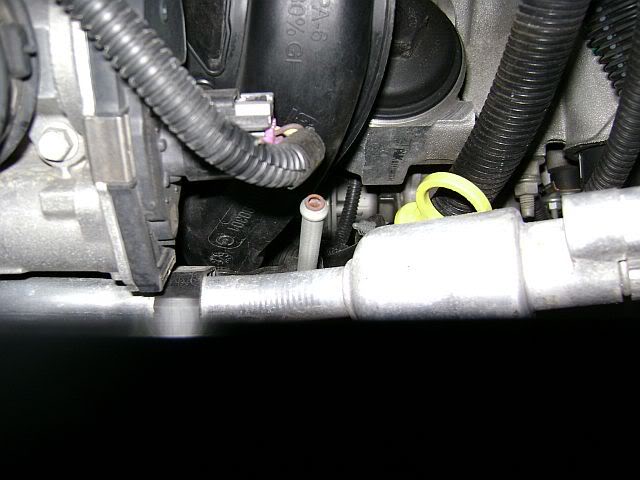 Name:  DSC00452.jpg
Views: 102
Size:  43.1 KB