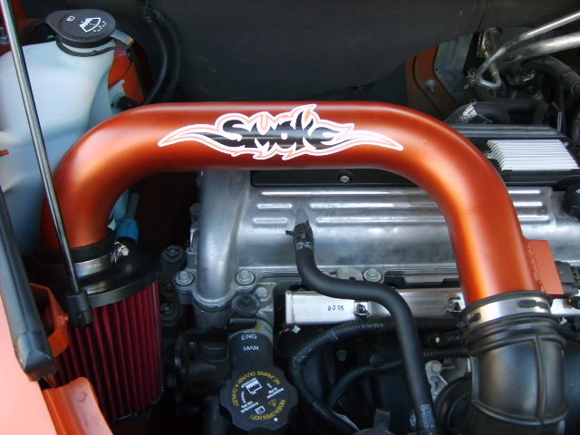 Name:  PaintUnderHood002.jpg
Views: 71
Size:  95.1 KB