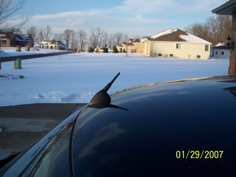 Name:  100_1105.jpg
Views: 121
Size:  59.9 KB