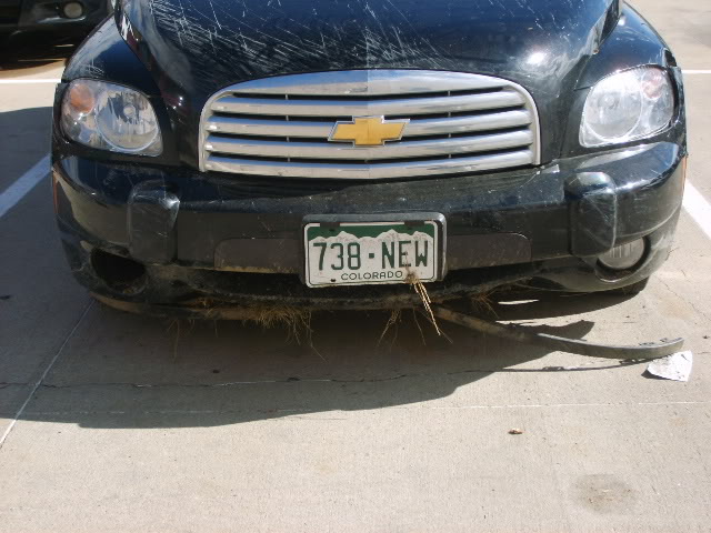 Name:  BryceStrongHHR003.jpg
Views: 120
Size:  107.7 KB