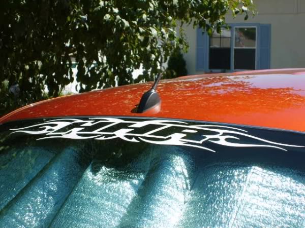 Name:  tribaldecal.jpg
Views: 91
Size:  67.2 KB