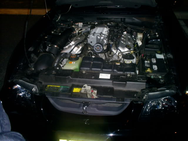 Name:  S4025268.jpg
Views: 41
Size:  44.4 KB