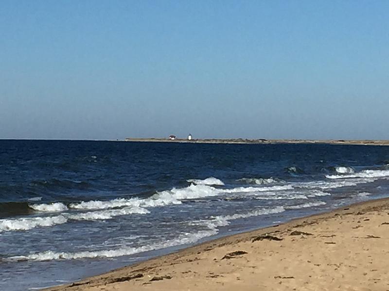 What Did You Do To Your HHR Today?-30e4a92c-a585-4bc7-b204-83adc92ad7df.jpeg